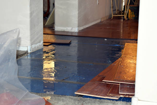 Professional Water Extraction technician working in Haslett, MI