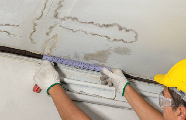 Reliable Water Extraction contractor in Haslett, MI by Water Damage Irwin